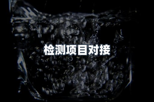 检测项目对接